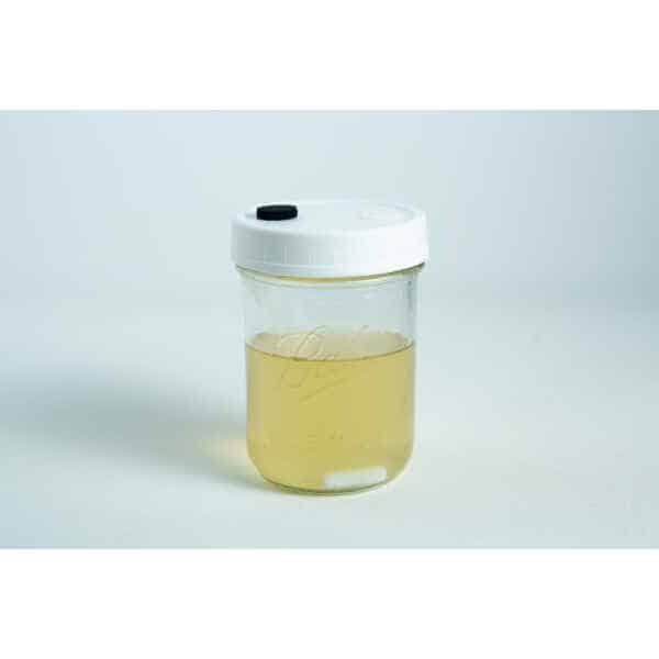 The Uncolonised Liquid Culture Jar with nutrient and magnetic stirrer features a white lid and yellowish liquid, shown on a white background. Available for collection only.