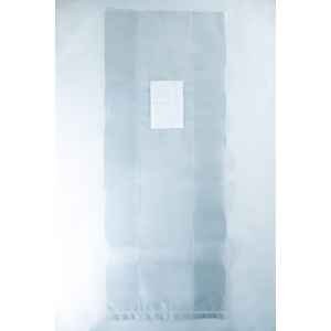 The Mushroom Grow Bags Unicorn for spawn and substrate feature translucent plastic with a white rectangular patch in the centre, perfect for cultivating mushrooms, and are shown on a light background.