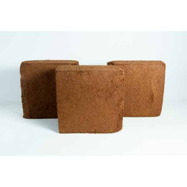 Three brown, square Coco Coir Block 5 kg (60L), Washed of Salts, Buffered RHP grade blocks are arranged against a plain white background.