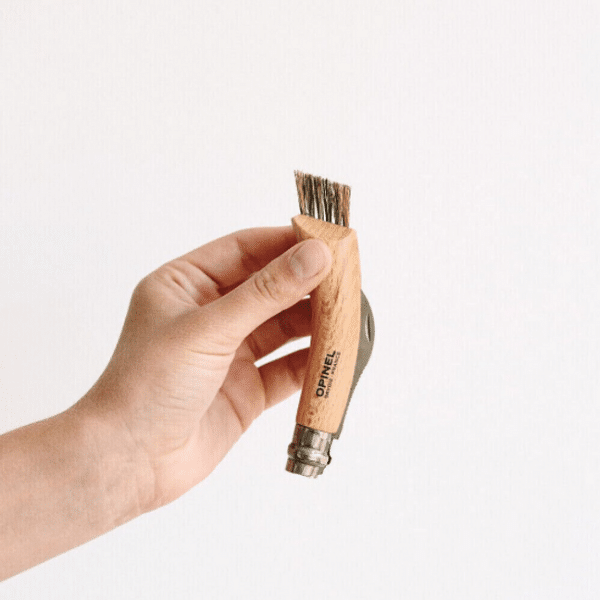 Hand holding a small wooden brush with OPINEL branding, next to an Opinel No 8 Folding Mushroom Knife with a beech handle and stainless steel blade, set against a plain white background.