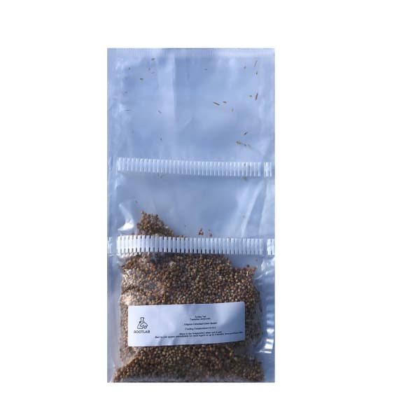 A clear plastic bag with small brown seeds and a white label on the front against a white background.