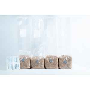 Three 1kg Organic Brown Rice Flour (BRF) & Vermiculite bags for PF Tek cultivation are arranged in a row on a white background—ideal for easy mushroom growing.