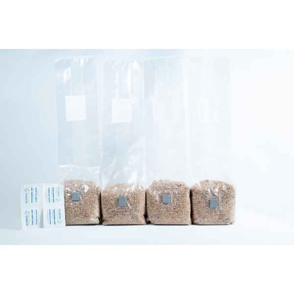Three 1kg Organic Brown Rice Flour (BRF) & Vermiculite bags for PF Tek cultivation are arranged in a row on a white background—ideal for easy mushroom growing.