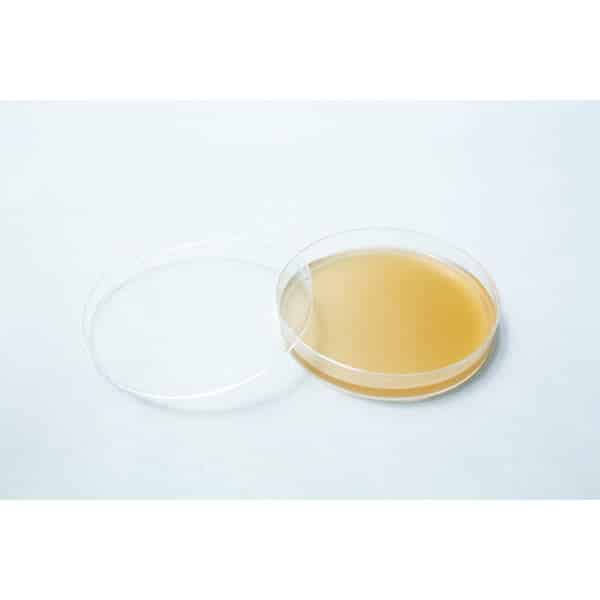 Pre-poured MEAG Agar Plates (Antibacterial) 90mm feature light brown agar in a petri dish with lid, ideal for experiments requiring ready-to-use, antibacterial medium.