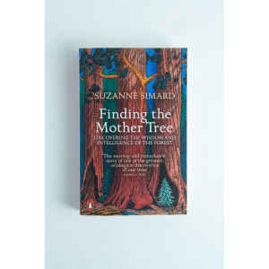 Book cover of Finding the Mother Tree by Suzanne Simard, with tall illustrated trees on a blue background—a perfect pick for fans of forest ecology and nature books.