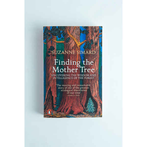 Book cover of Finding the Mother Tree by Suzanne Simard, with tall illustrated trees on a blue background—a perfect pick for fans of forest ecology and nature books.