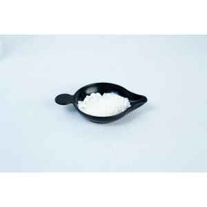 A small black dish holds Antibacterial Powder for mushroom cultivation, seen as a fine white substance on a plain white surface.