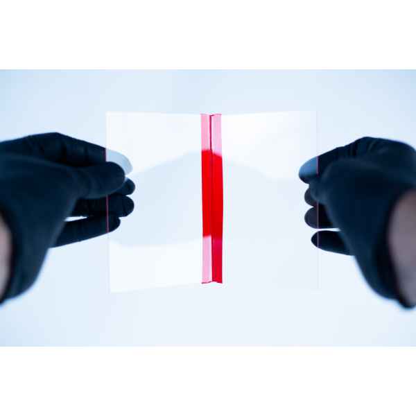 Gloved hands hold a Glass Spore Print Slides booklet (12.8cm x 8.5cm x 1mm) with a red vertical stripe in the centre, designed to preserve spore prints, set against a white background.
