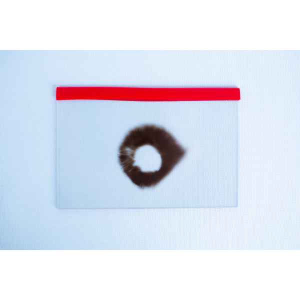 A transparent ziplock bag with a red seal holds a Glass Spore Print Slides booklet (12.8cm x 8.5cm x 1mm)—ideal for safely storing and preserving your spore prints—displayed on a clean white background.