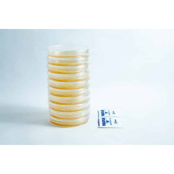 A stack of 90 mm pre-poured MEA plates Petri dishes sits next to two small Parafilm packets.