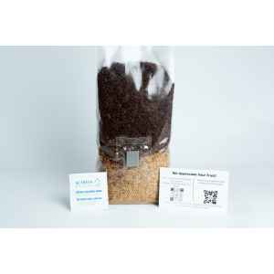 A clear 1kg Masters Mix + Millet All-in-one Mushroom Bag filled with brown and yellow seeds, shown with two small info cards in front.