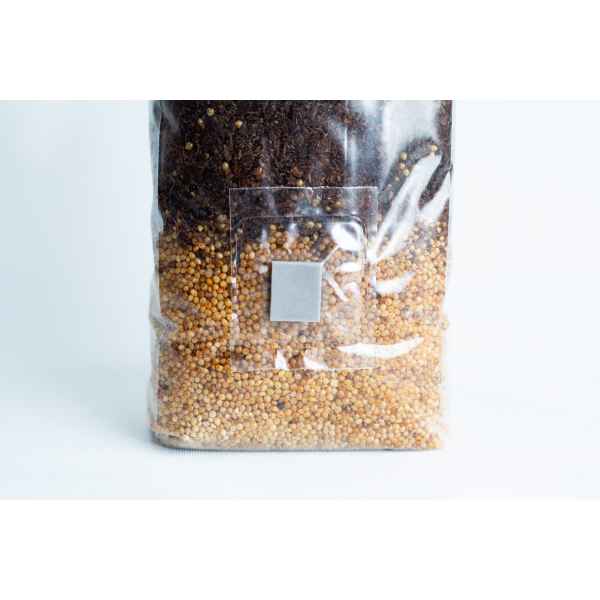 Masters Mix + Millet All-in-one Mushroom 1kg Bag: clear plastic bag with dark Masters Mix substrate on top, yellow millet seeds at the bottom, and a small square patch in the centre.