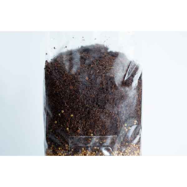 A clear plastic bag containing 1kg of dark brown Masters Mix + Millet All-in-One Mushroom substrate with visible small millet seeds at the bottom.
