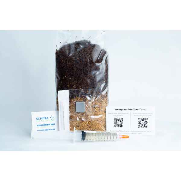 The Black King Oyster Mushroom Grow Kit includes a sealed seed bag, syringe, alcohol swab, and two QR code cards, all shown on a white background.