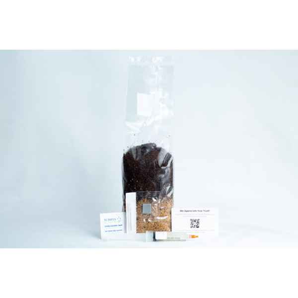 A 1kg Masters' Mix + Millet All-in-One Mushroom Bag stands on a white background, with business cards and a syringe displayed in front.