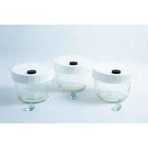 Three empty Mycology Ball Mason jars (1L, genuine, autoclavable) with injection port and air vent, each with a white lid and placed in front of a small green marble, arranged on a white background.