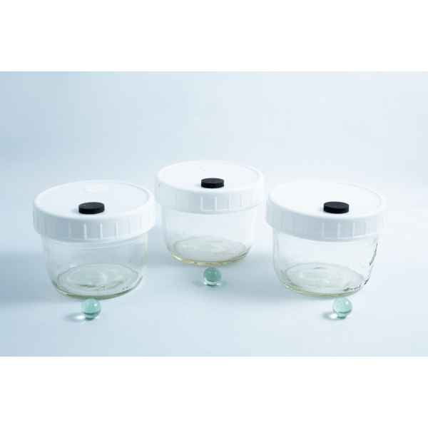 Three empty Mycology Ball Mason jars (1L, genuine, autoclavable) with injection port and air vent, each with a white lid and placed in front of a small green marble, arranged on a white background.
