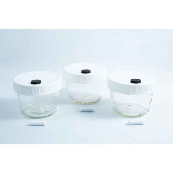Three Mycology Ball mason jars 1L with injection port, air vent, and black knob lids are arranged in a row on a white surface—genuine autoclavable storage ideal for mycology.