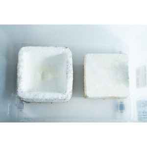 How to make Mycelium Objects? 7 PT3A1398 scaled