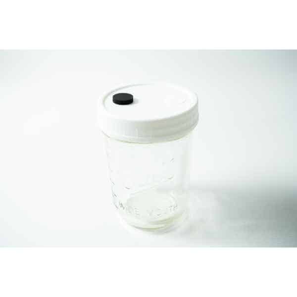 A clear Kilner jar with a white lid featuring an injection port and air filter, set against a white background—ideal for use with Mycology pre-made Wide Mouth Kilner Jar Lids (white with injection port and air filter).
