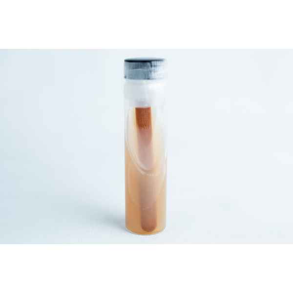 A sealed test tube containing a brown wooden stick and light brown liquid, resembling Slants—Replacement for agar petri dish, is displayed against a plain background.