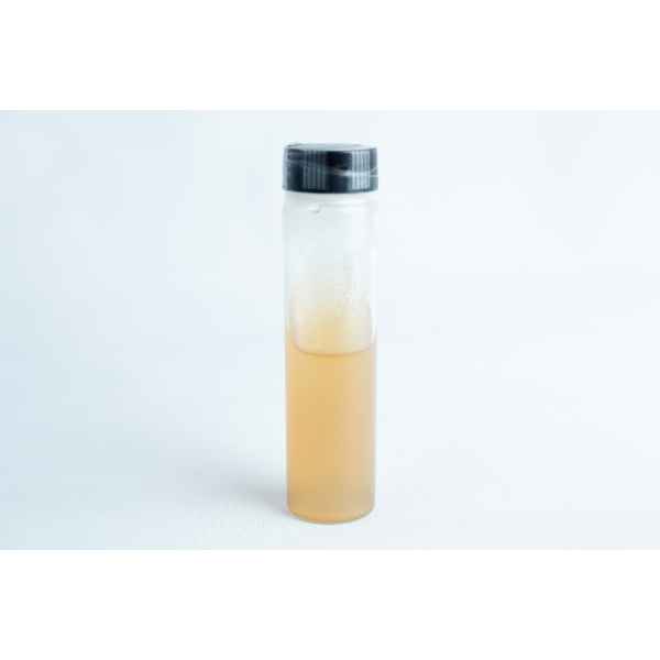 The Slants- Replacement for agar petri-dish is a clear plastic vial with a black lid, containing cloudy light brown liquid, commonly used for mushroom storage, shown against a white background.