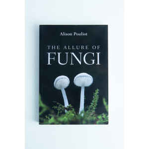 Book cover of The allure of Fungi: Book by Alison Pouliot, depicting two white mushrooms and green moss.