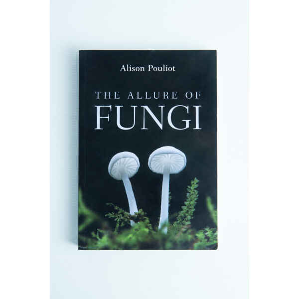Book cover of The allure of Fungi: Book by Alison Pouliot, depicting two white mushrooms and green moss.