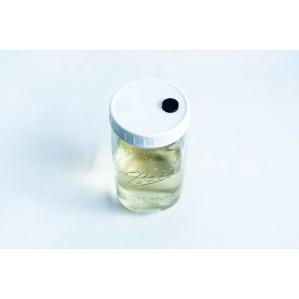 Uncolonised Liquid Culture Jar with nutrient and magnetic stirrer—features clear liquid inside a Kilner jar with white lid and black circle on top. Ideal for culturing; collection only.