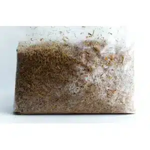 How to make Mycelium Objects? 2 3b36c5 135a906ac3094ee4a364eb30c6586fa9mv2