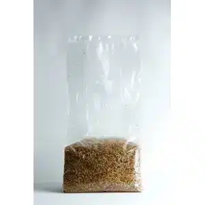 How to make Mycelium Objects? 1 3b36c5 23ea32b65ab6464fb2d2bd992d830e3cmv2