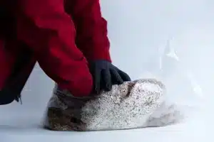 How to make Mycelium Objects? 3 3b36c5 da66fd8610324785b7b1db26f0be6d0amv2