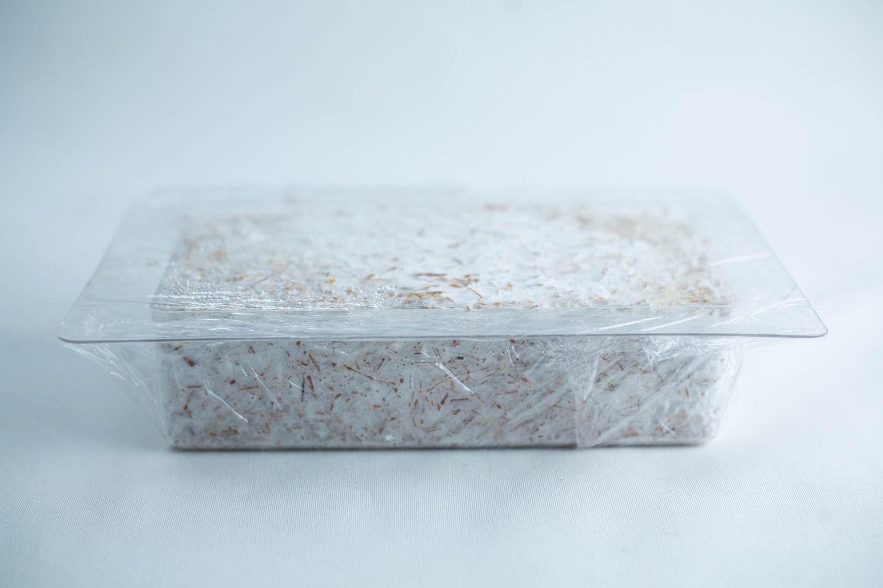 Mycelium Mold Growth form -Brick (Reusable) 13 Rectangular container of white shredded material covered with clear plastic film against a plain background.