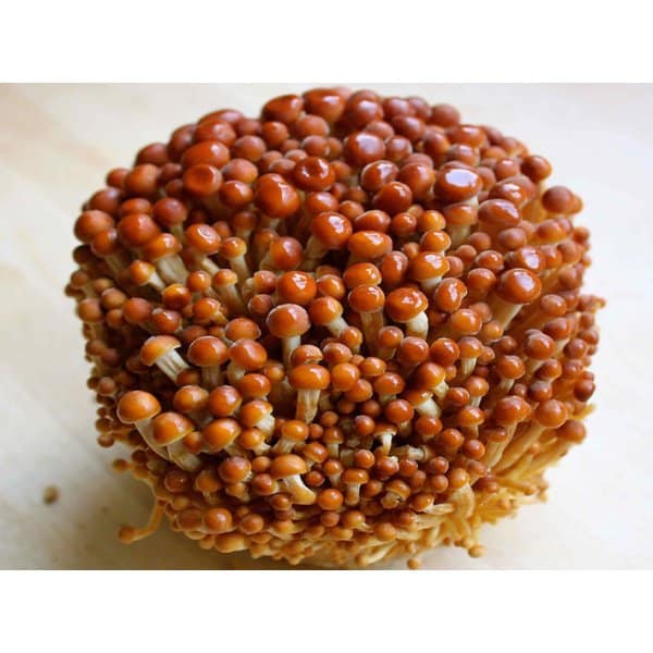 A cluster of brown-capped enoki mushrooms with long, slender stems on a light surface.