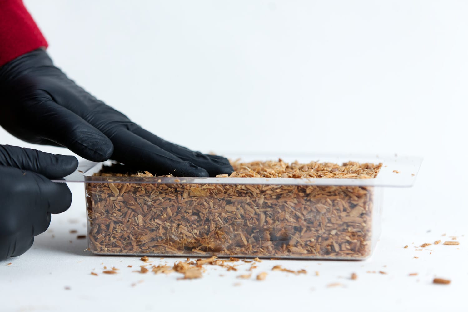 Mycelium Mold Growth form -Brick (Reusable) 11 Gloved hands pressing wood chips into a clear rectangular container on a white surface.