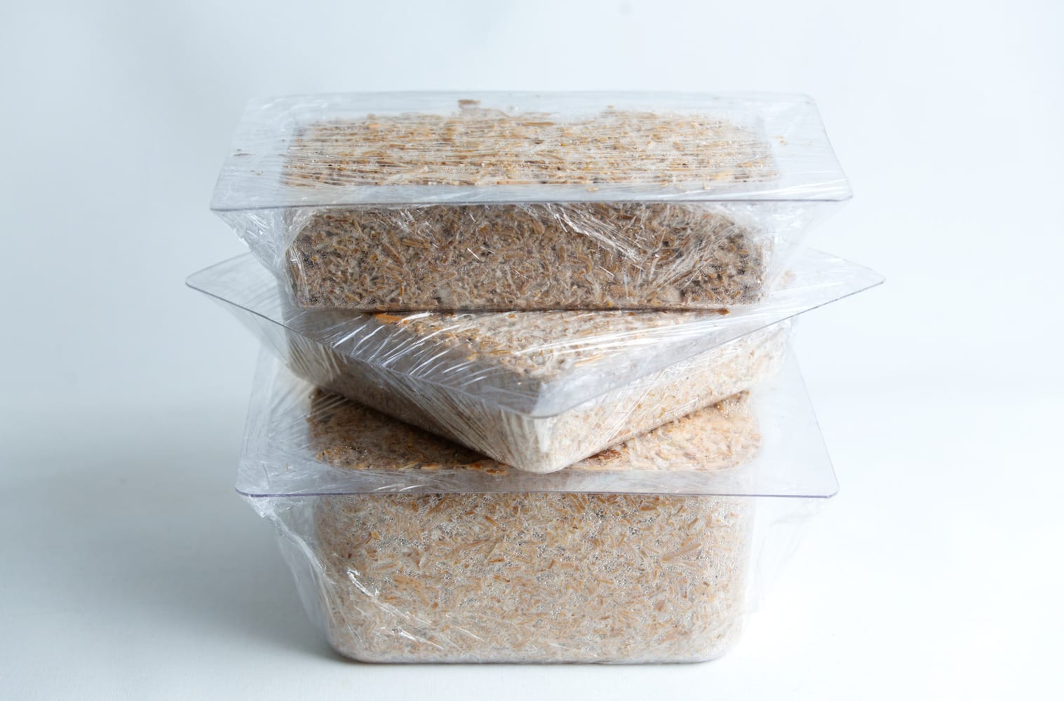 Mycelium Growth Medium | Hemp Substrate or Sawdust Substrate 7 Three clear plastic containers stacked, each filled with a substrate and covered with cling film.