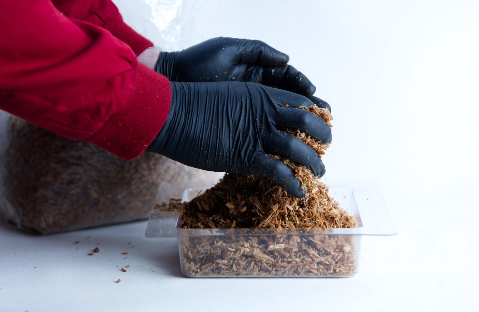 Mycelium Growth Medium | Hemp Substrate or Sawdust Substrate 5 Person wearing black gloves handling wood shavings in a clear plastic container on a white surface.
