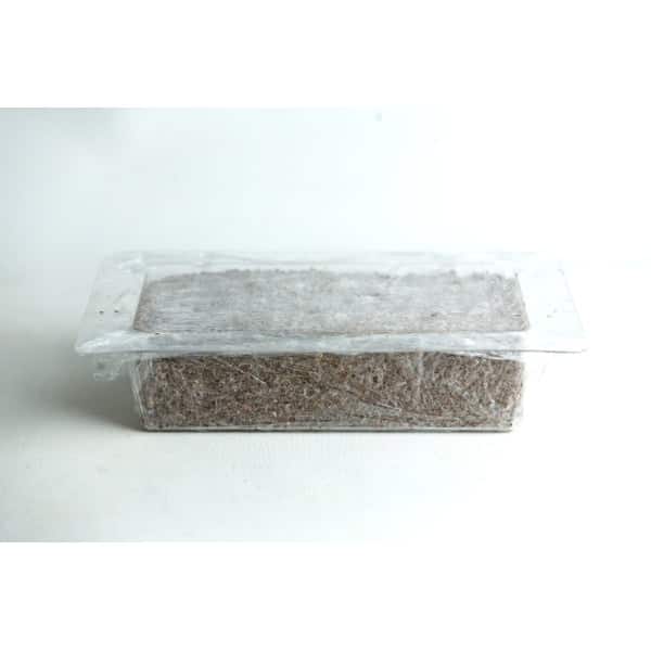 A rectangular plastic container filled with soil, covered with clear cling film.