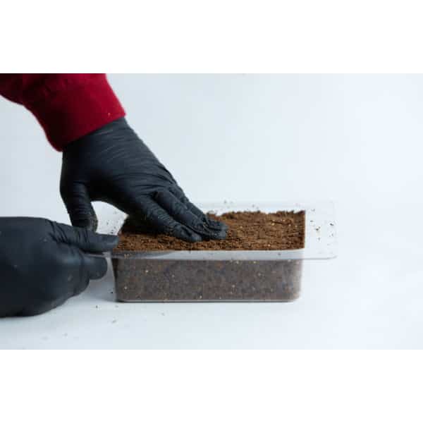 Hands in black gloves pressing soil in a plastic container against a white background.