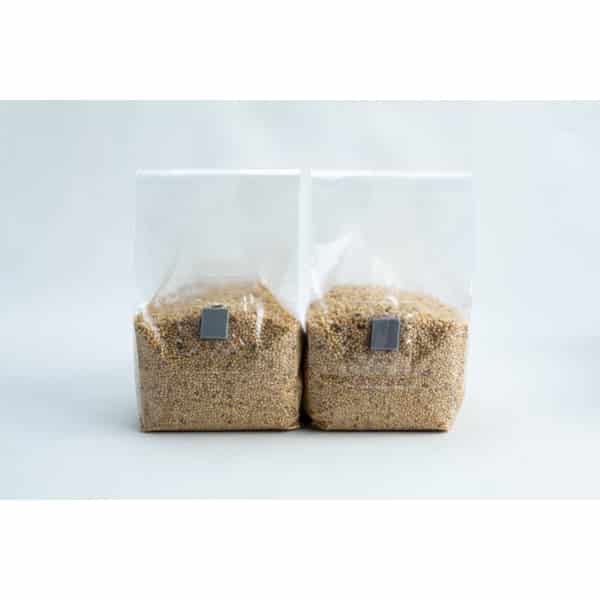 Two clear plastic bags filled with grains, standing side by side on a white background.