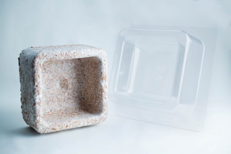 How to make Mycelium Objects? 8 PT3A8323
