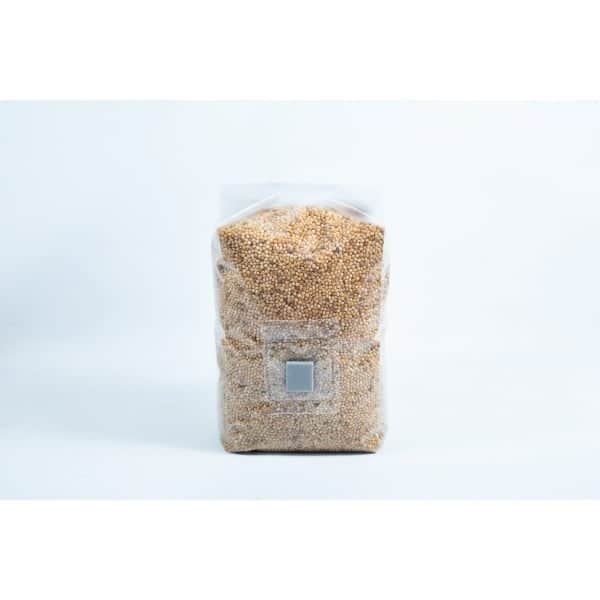A clear plastic bag of Millet Pre-Sterilised Mushroom Grains with injection port and digital instructions—sealed, upright on a white background, ideal for mushroom cultivation.