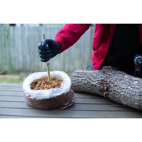 Person in gloves inserting a tool into a bag of substrate beside a tree log on a table outdoors.