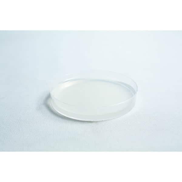 A clear, empty petri dish sits on a white surface under bright lighting.