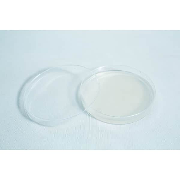 An empty, clear petri dish with its lid slightly open on a plain white background.