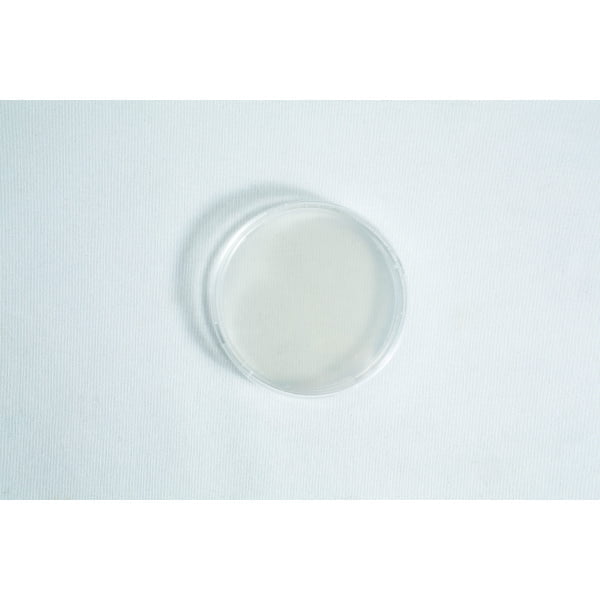 A clear petri dish placed on a white surface, viewed from above.
