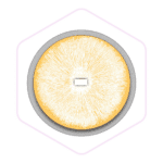 Top view of a circular orange and white fungus spore print on a white background, perfect for those sourcing mushroom farming supplies or enthusiasts shopping at Mushroom Supplies Australia.