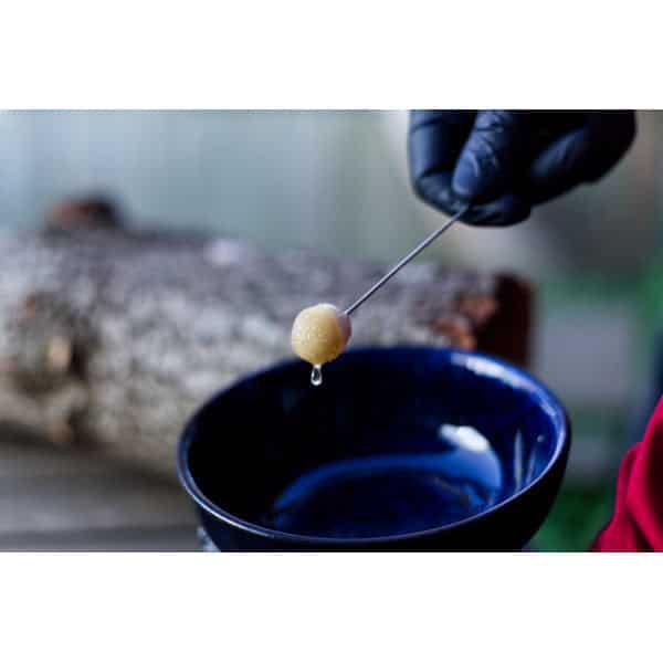 A gloved hand holds a stick with a honey dripper above a blue bowl, honey dripping off.