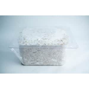 How to make Mycelium Objects? 6 plant pot colonised 1 scaled