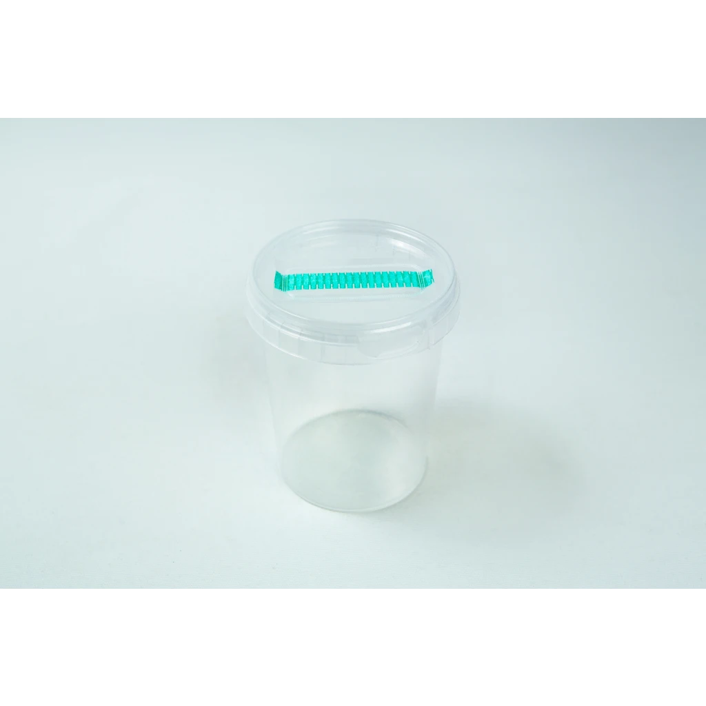 The Cordyceps militaris Mushroom Grow Kit is a clear plastic container with a transparent lid and a green object attached to the top for easy mushroom cultivation.
